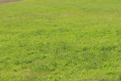 zavody_2011_i_046